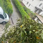 Apartma Magnolija דירה