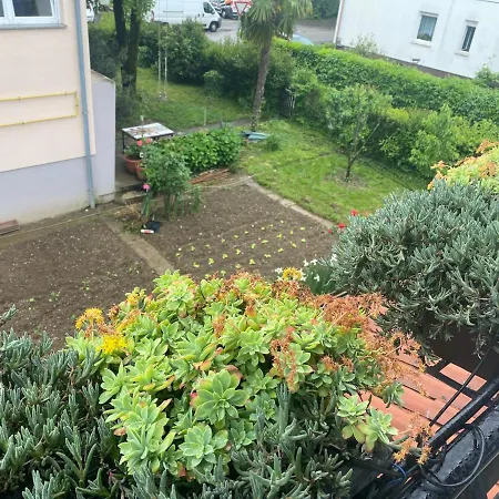 Apartma Magnolija Nova Gorica