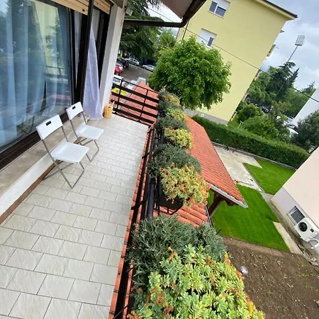 Apartma Magnolija *