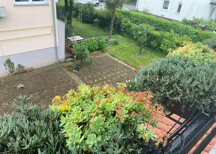 Apartma Magnolija Nova Gorica