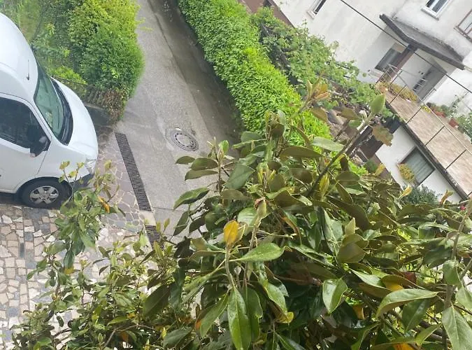 Apartma Magnolija Appartamento